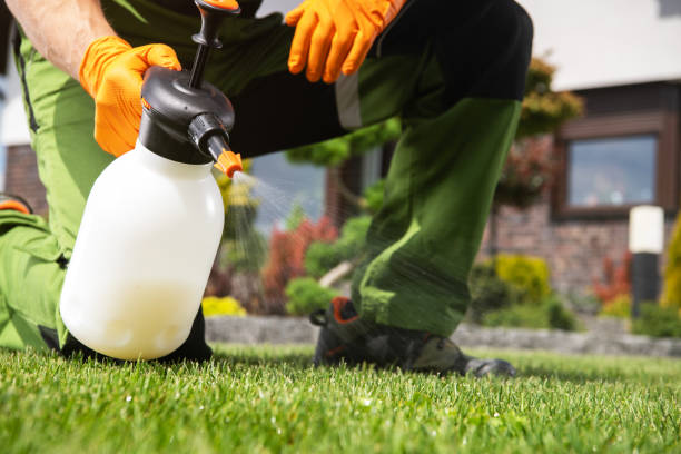 Professional Pest Control in Dayton, TX