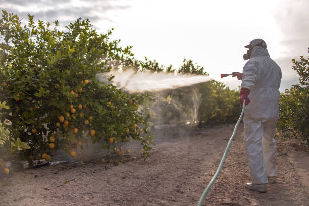 Best Flea Control Services  in Dayton, TX