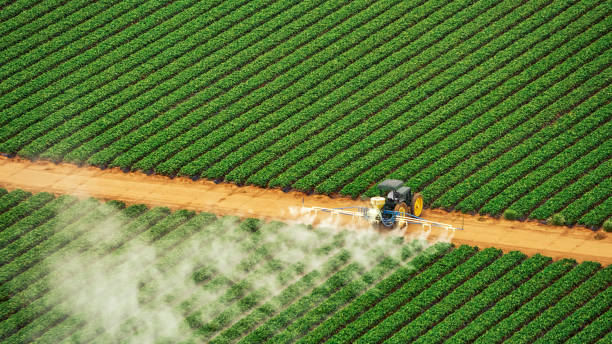 Best Best Pest Control Companies  in Dayton, TX