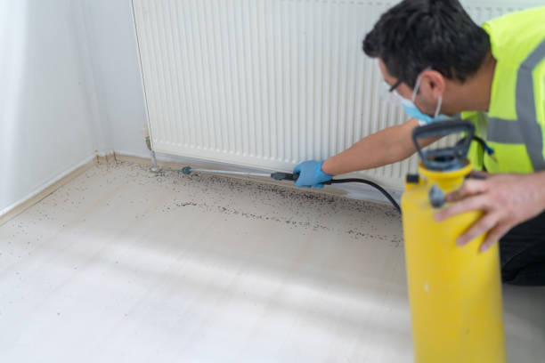 Best Best Pest Control Companies  in Dayton, TX