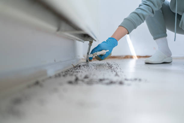 Best Residential Pest Control  in Dayton, TX