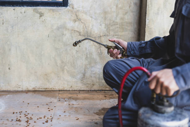 Pest Prevention Services in Dayton, TX